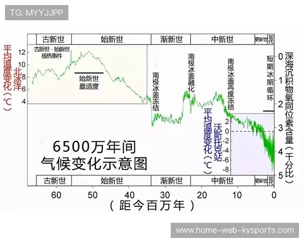 全球关注度持续上升，赛事国际化