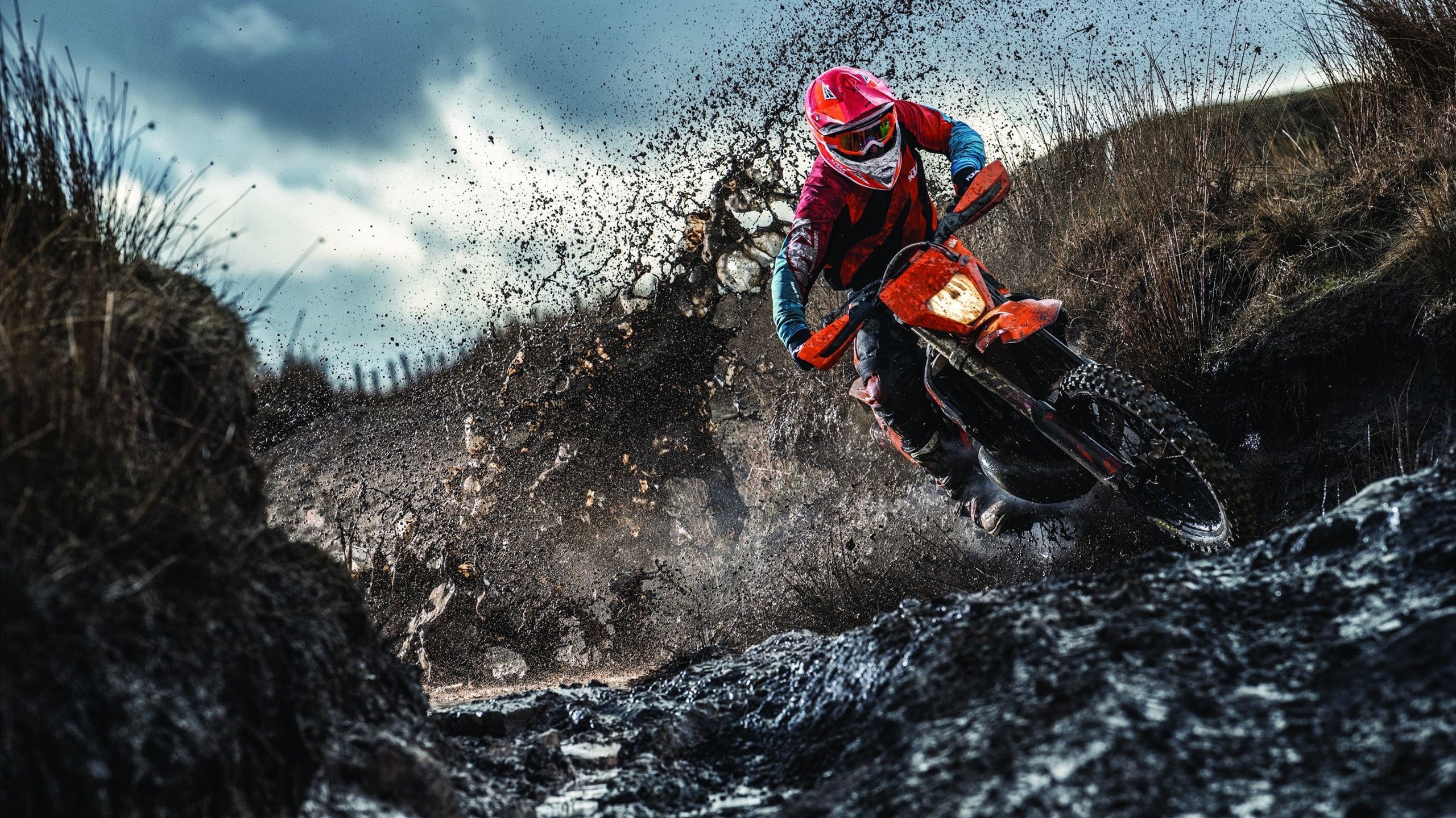 开云中国大陆-多巴哥运动文化节激发全民热情，多巴哥狂欢节视频